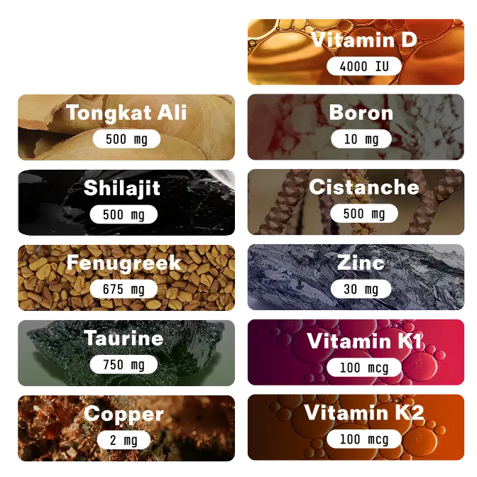 Boost Natural Testosterone Support